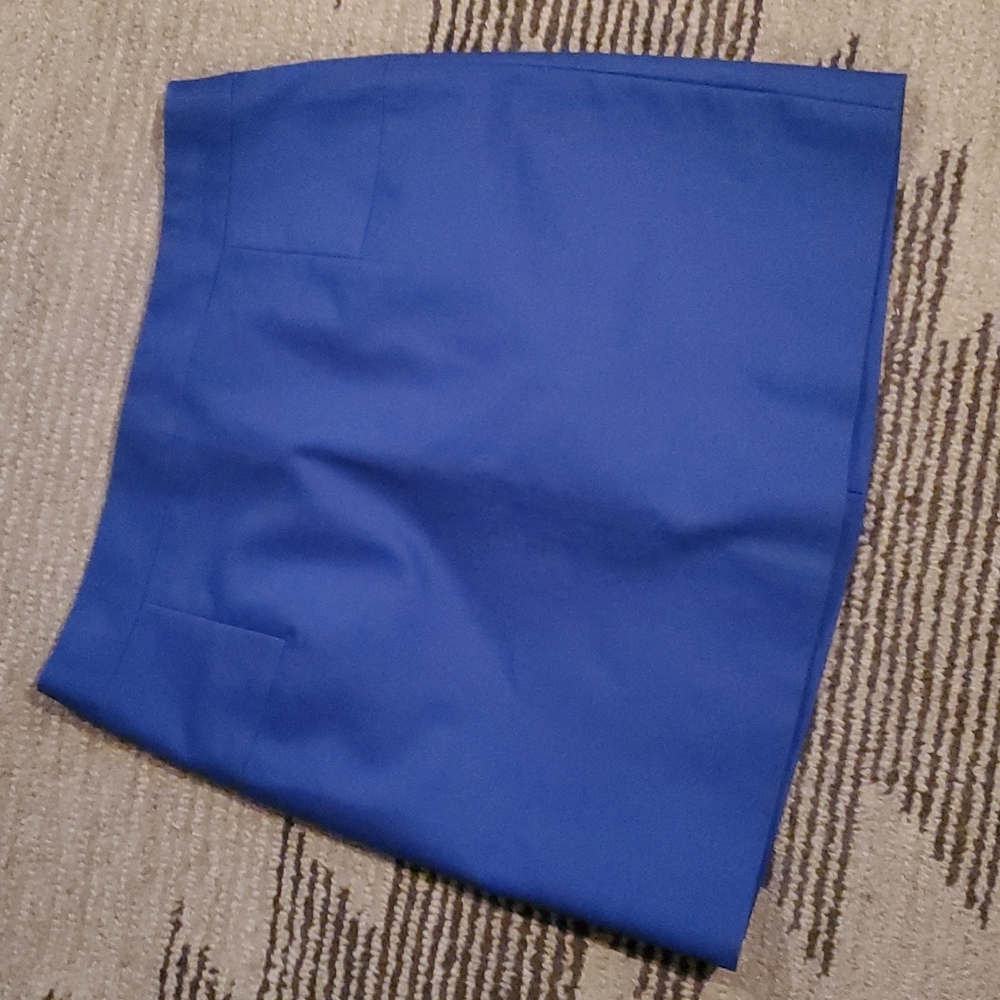 J. Crew Skirt